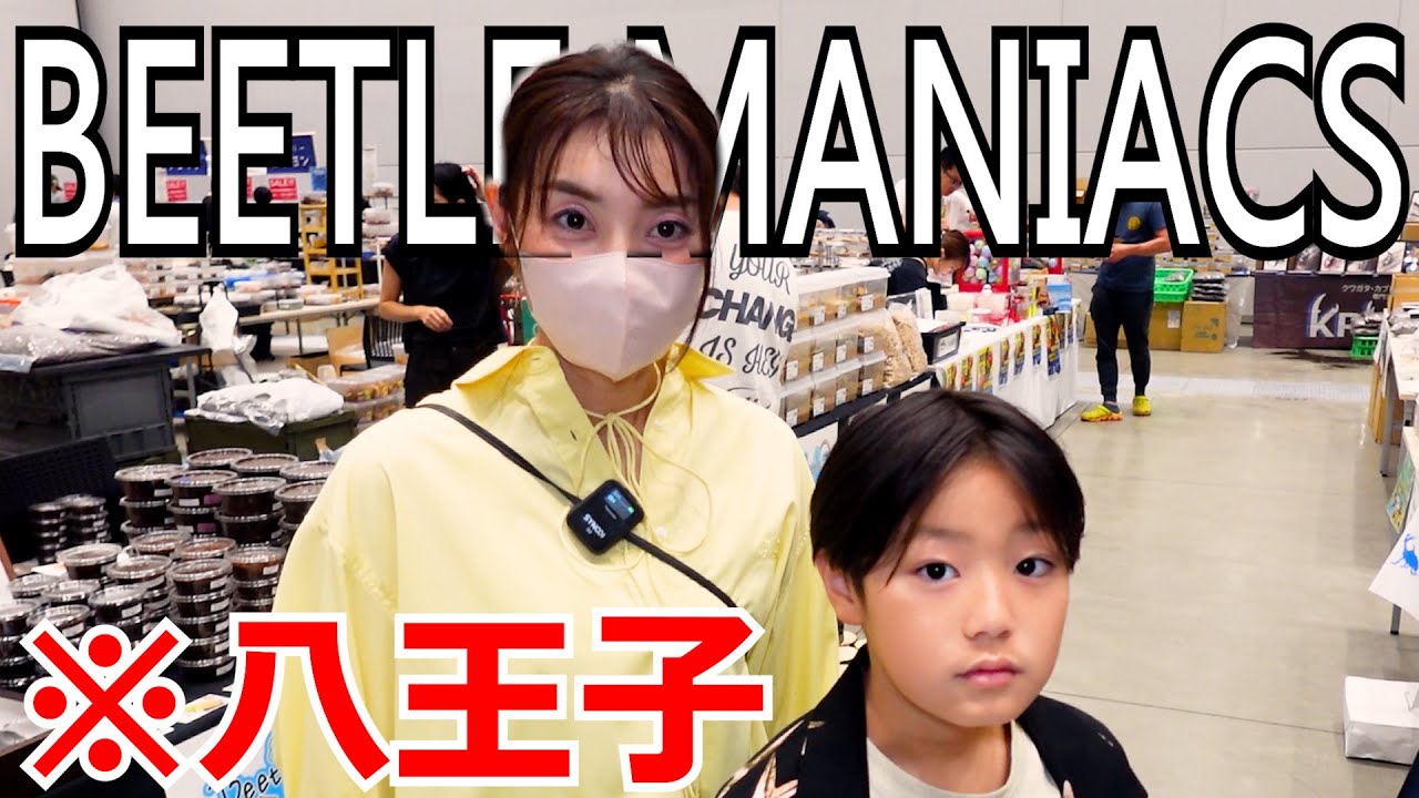 八王子の昆虫イベントに凄腕ブリーダー＆世界のカブトムシとクワガタたちが大集合！／ビーマニ