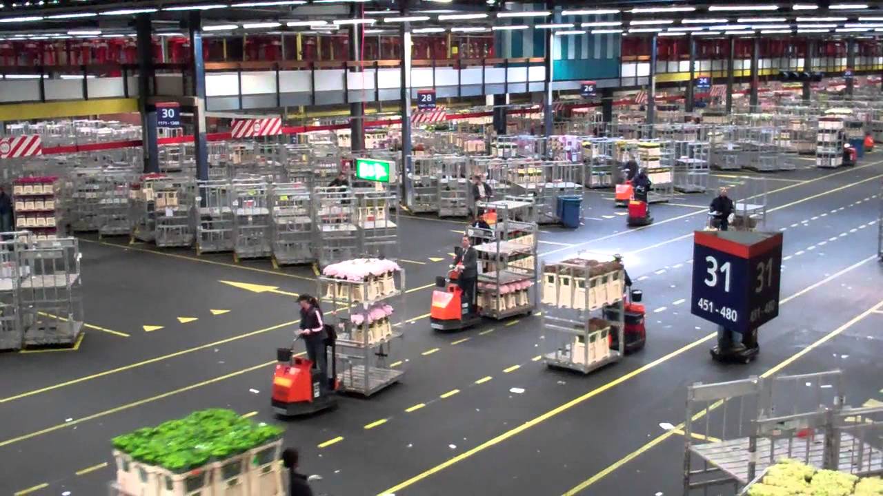Topdrukte @FloraHolland Aalsmeer / Rush hour @Flower auction