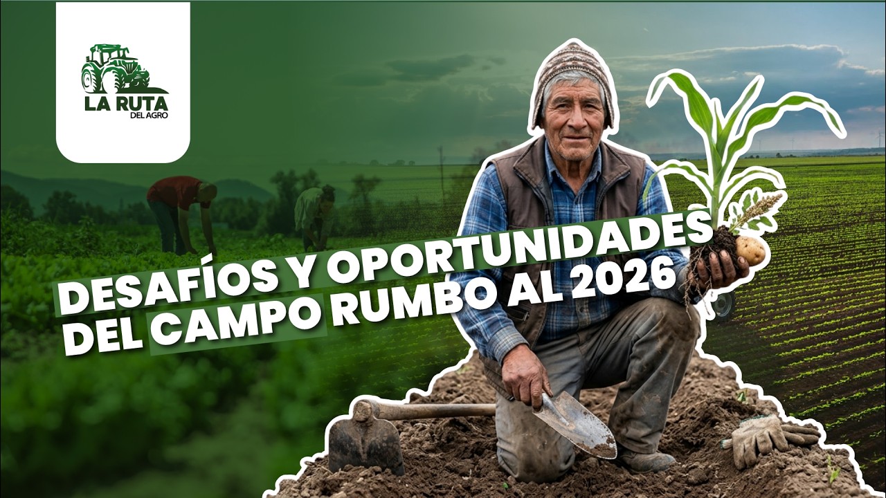 Desafíos y oportunidades del campo rumbo al 2026 | La ruta del agro