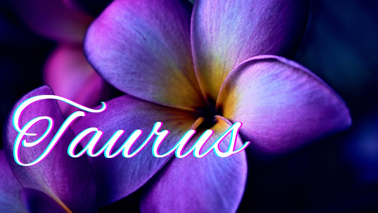 Taurus🌱This Relationship Is Blossoming-Potential Life Partner🌱Energy Check-In