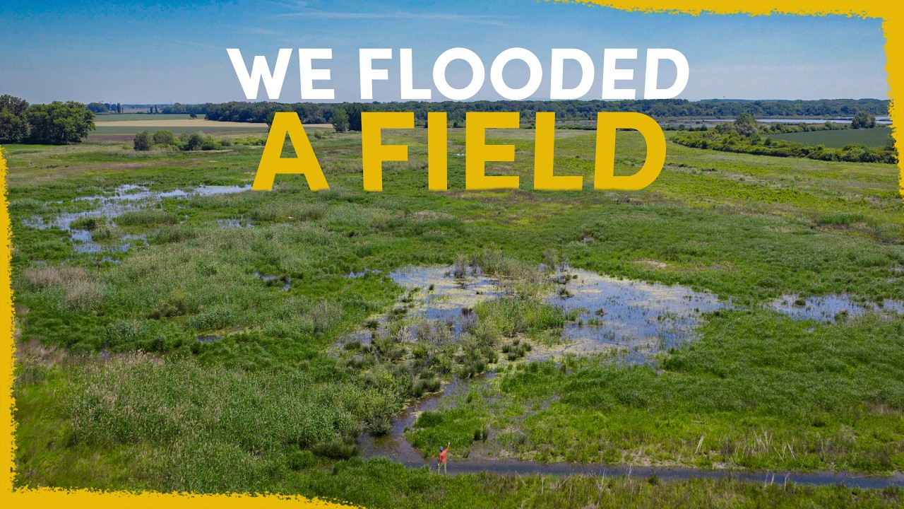 We flooded a field - the results blew our minds