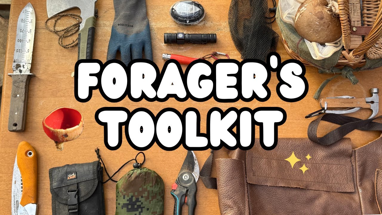 Make Foraging Easier! 19 Essential Tools for Winter & Spring