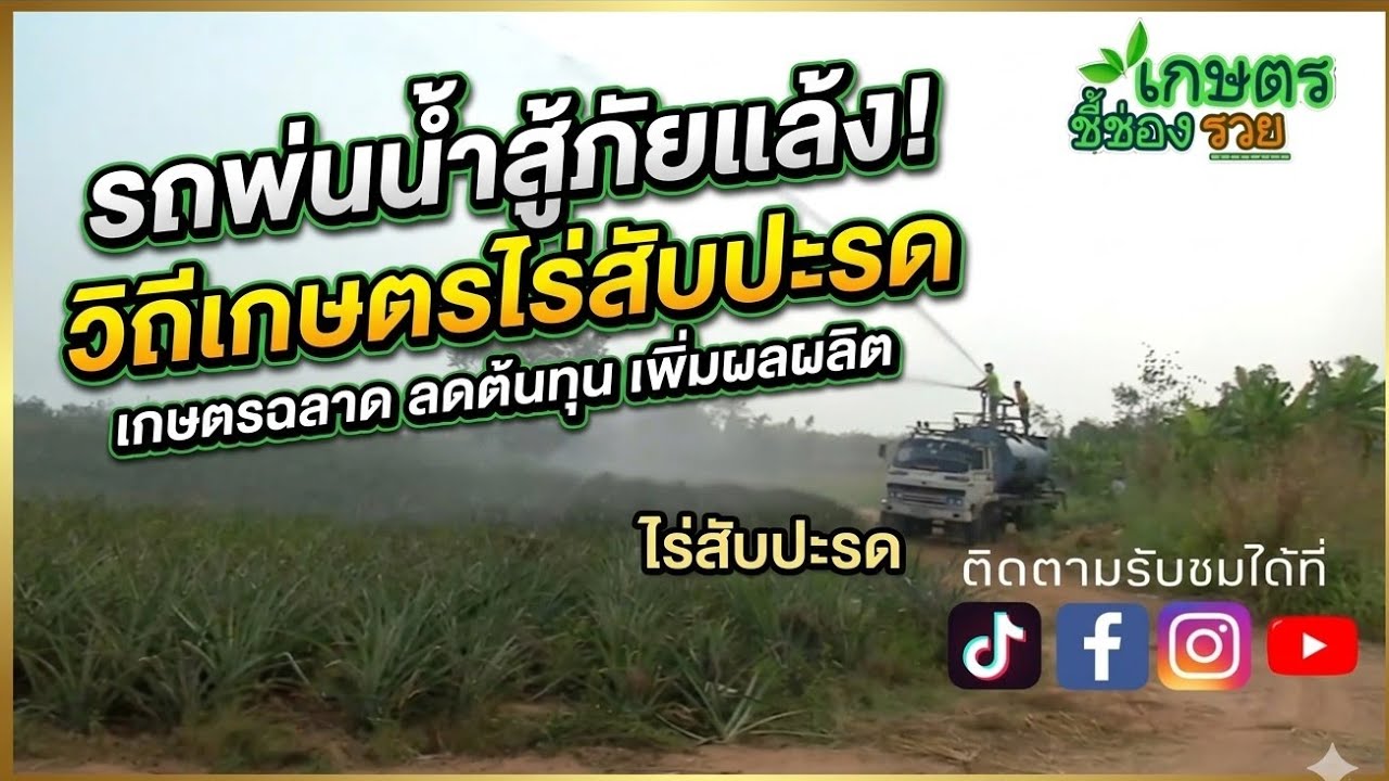 รายการเกษตรอินทรีย์ชี้ช่องรวยEP1228ทำไร่สัปปะรดราชบุรีสู้แล้ง