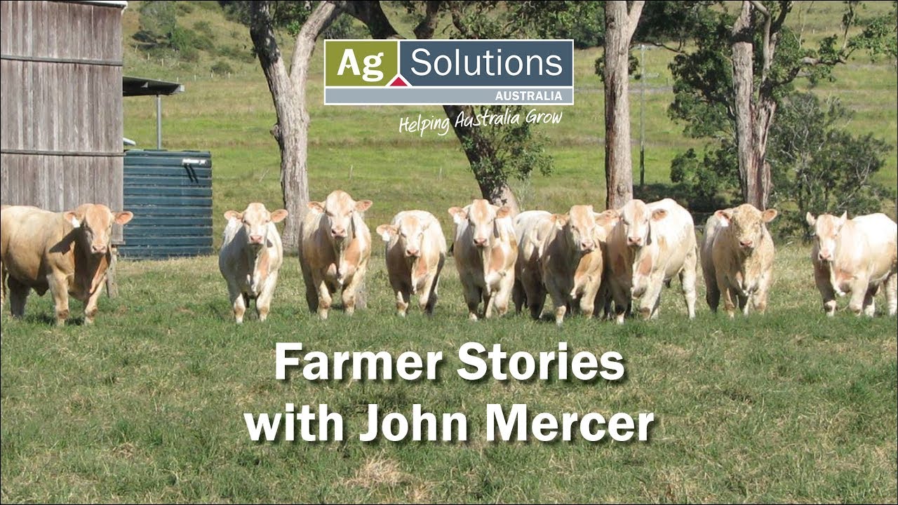 The Story of Kandanga Valley Charolais & Charbray Stud
