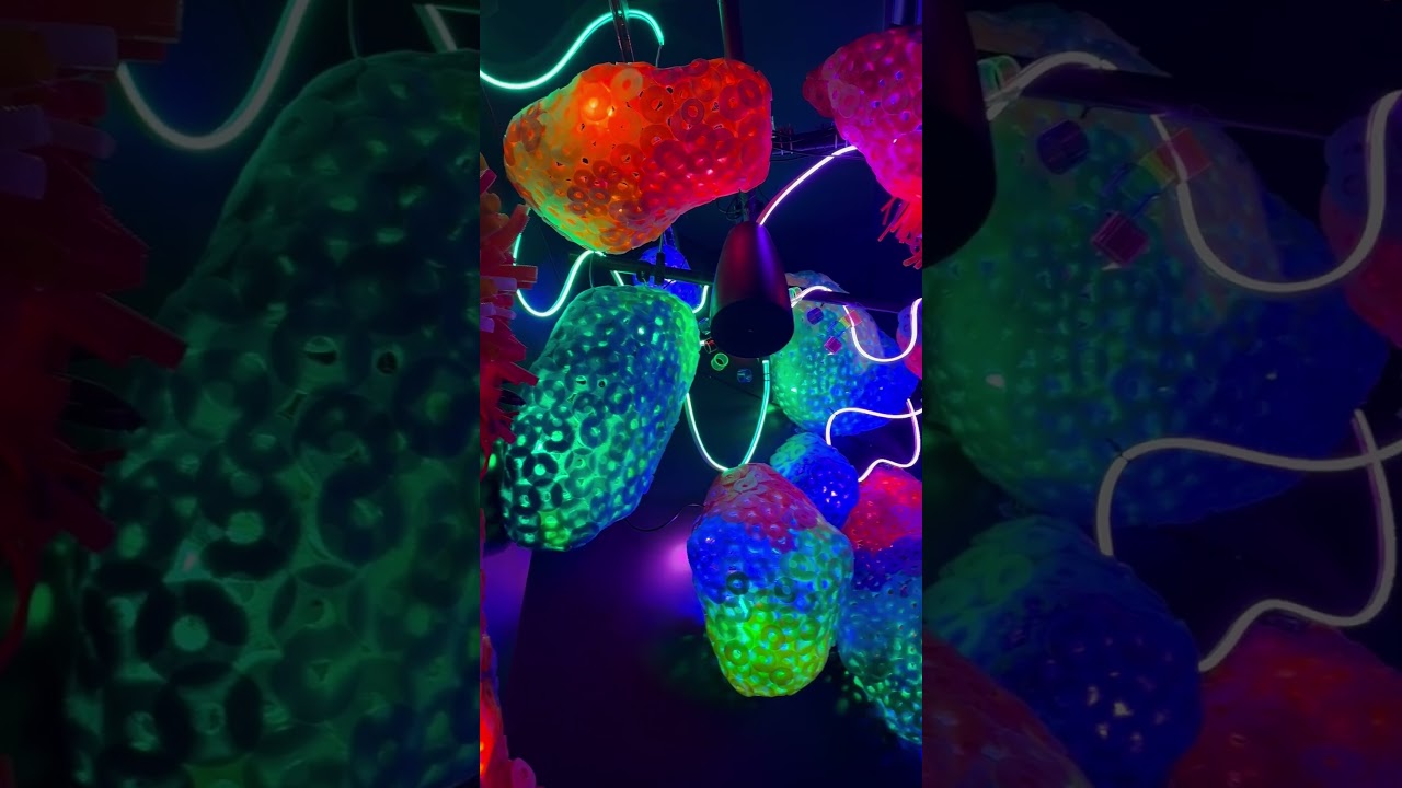 Things to Do in Houston at Night | Meow Wolf&rsquo;s Adulti-Verse 21+ Party