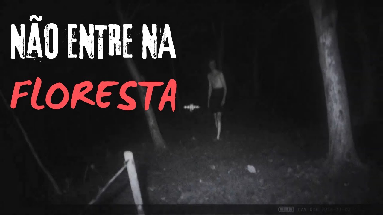 OS 5 VÍDEOS MAIS ASSUSTADORES EM FLORESTAS QUE VÃO TE DAR ARREPIOS!