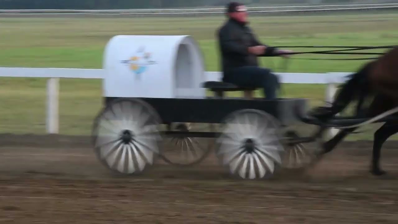 Horse Racing Season 🇨🇦