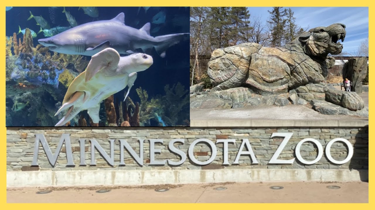 Minnesota Zoo Walk Tour Spring 2022 | Apple Valley, MN | Visit Minnesota
