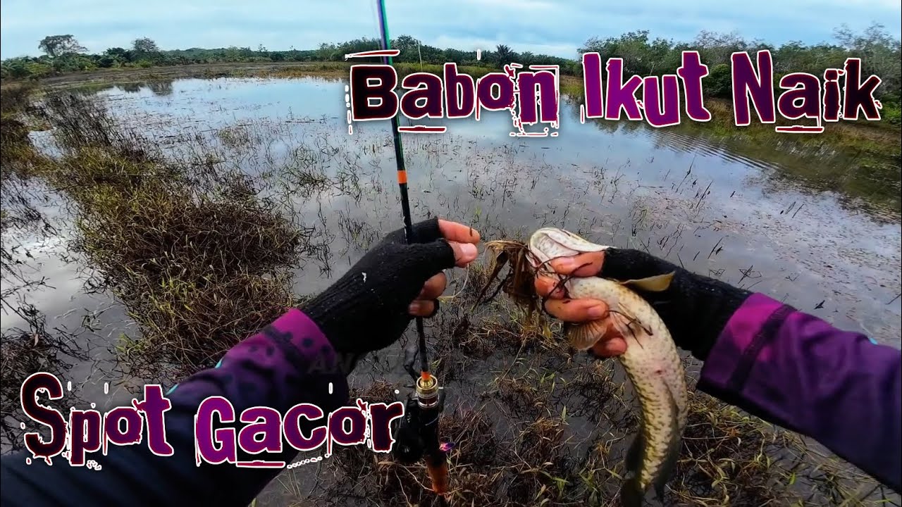 Gak Nyangka Spot banjiran Banyak Babonnya Guys‼️