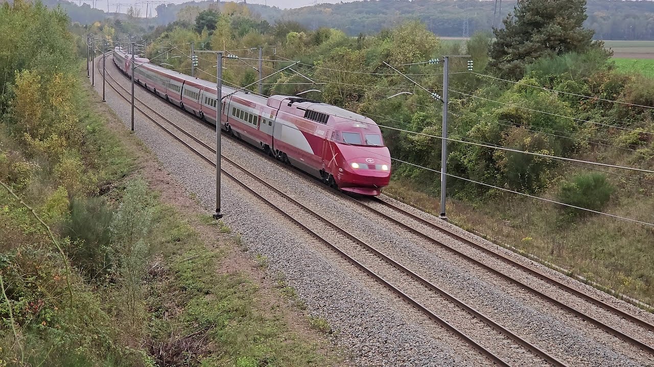 Quelques trains &agrave;... Episode 10 LGV Nord ! TGV inOui, Ouigo, Eurostar, (ex) Thalys