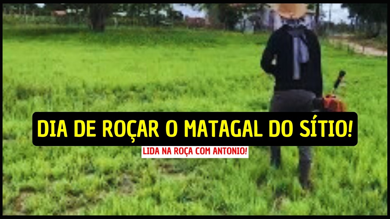 O MATO ESTÁ TOMANDO CONTA DO SÍTIO! LIDA NA ROÇA!
