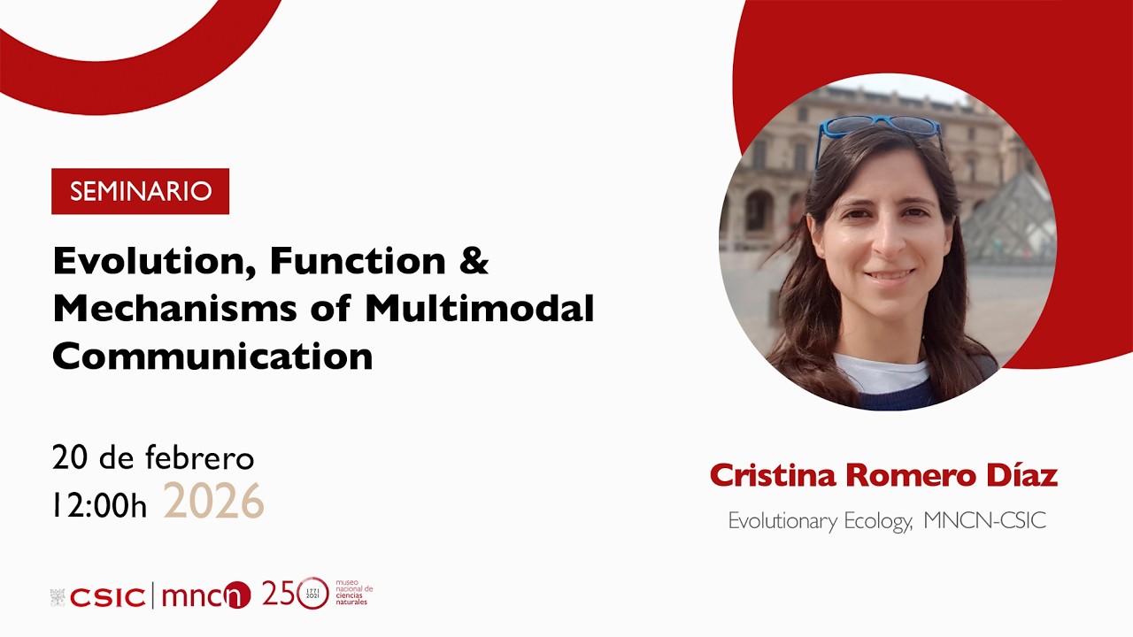 Evolution, Function & Mechanisms of Multimodal Communication