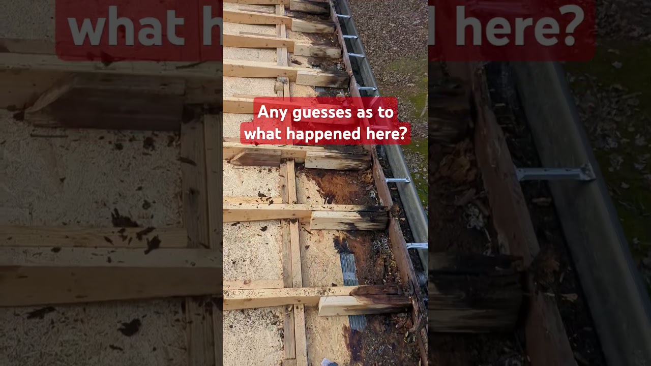 Roof leak! Rotted plywood and soffit along the edge of the roof. Any guesses? #roofing