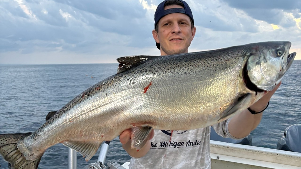 🔴 LIVE -| Lake Michigan Fishing Report 711/26 🔴