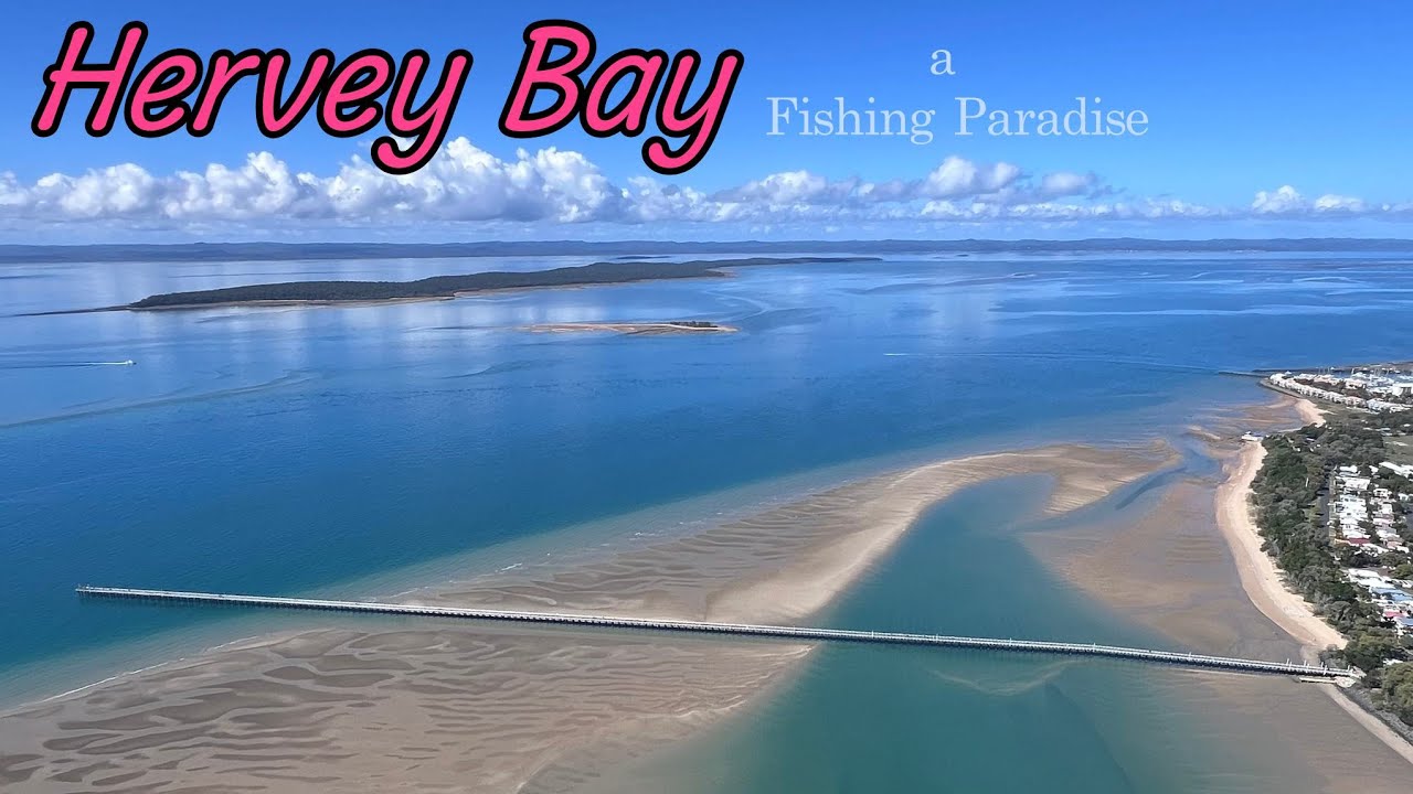 Hervey Bay a Fishing Paradise