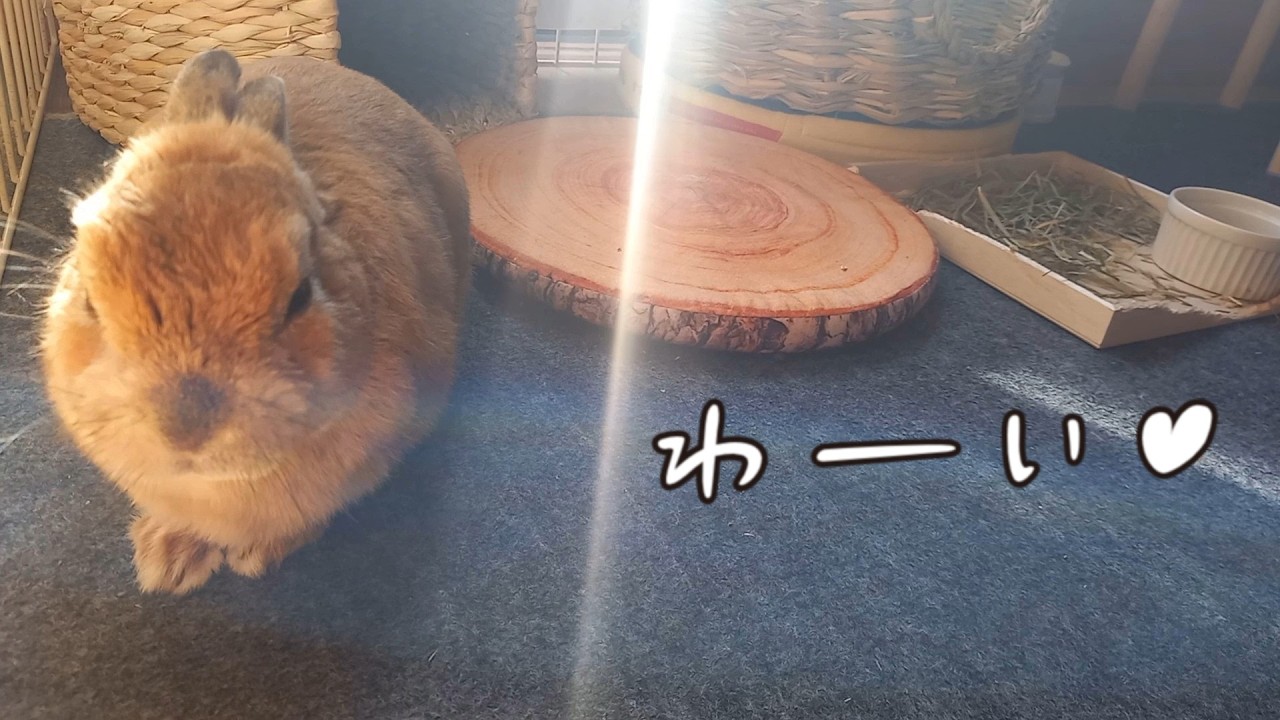 暖かかった一日