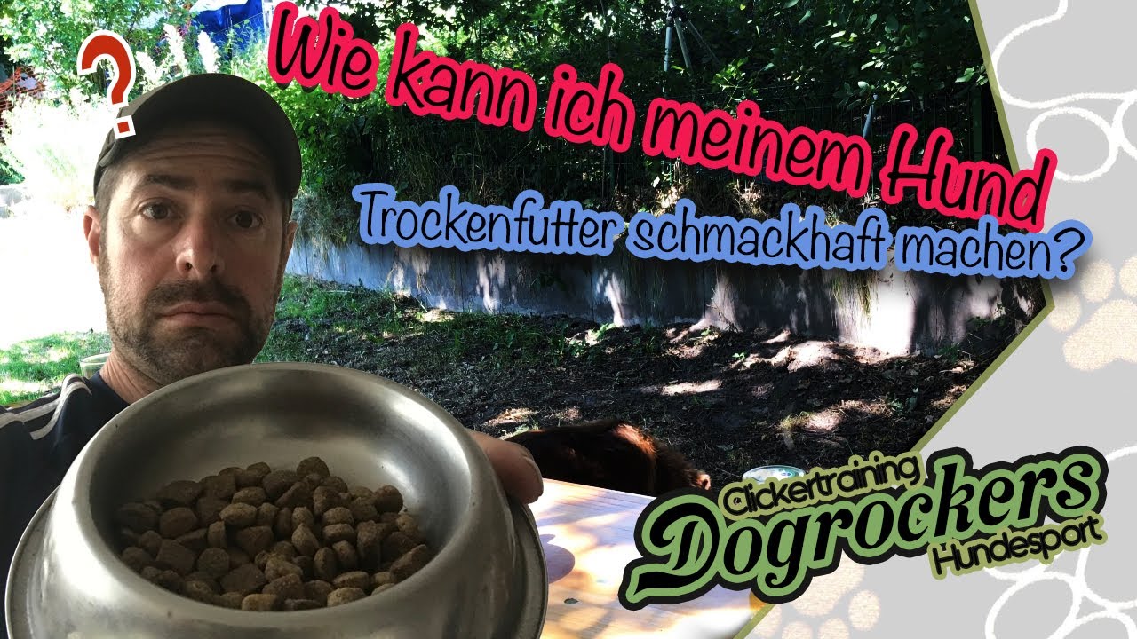 Wie kann ich meinem Hund Trockenfutter schmackhaft machen?