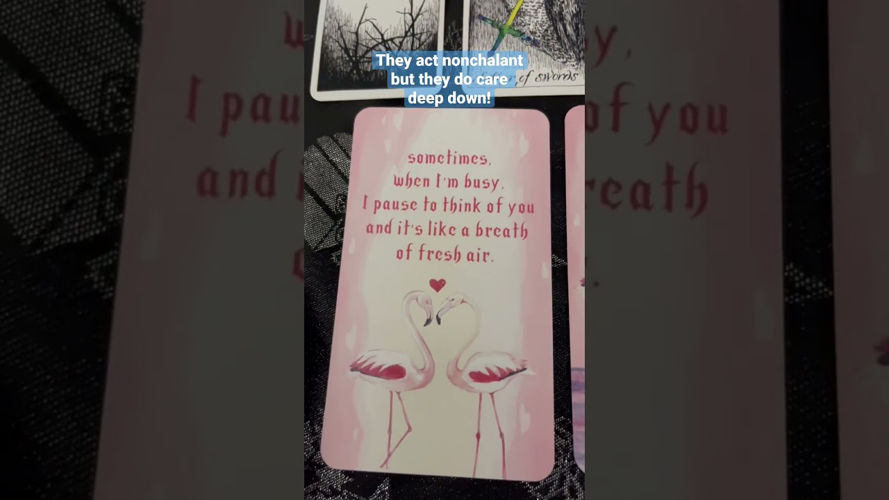#tarotlovemessages #tarotlovereading #tarot #lovereadings