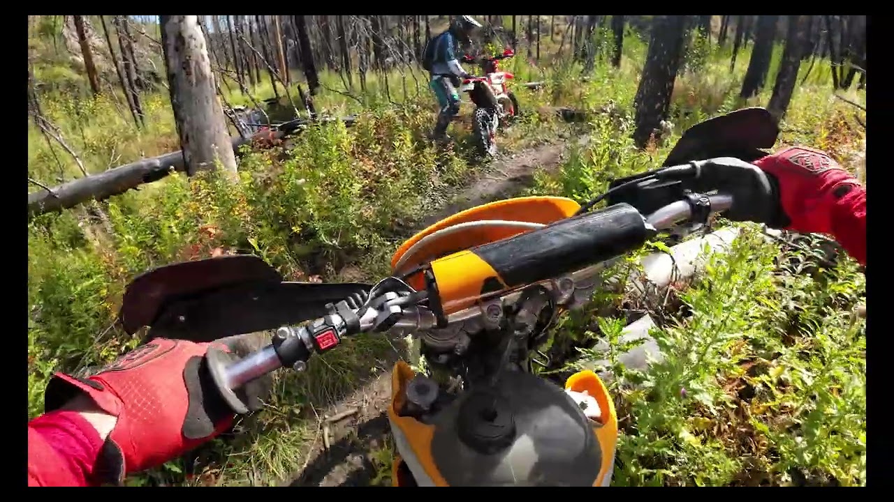Donner Pass Trail lower section Sept 2025 - Cam2