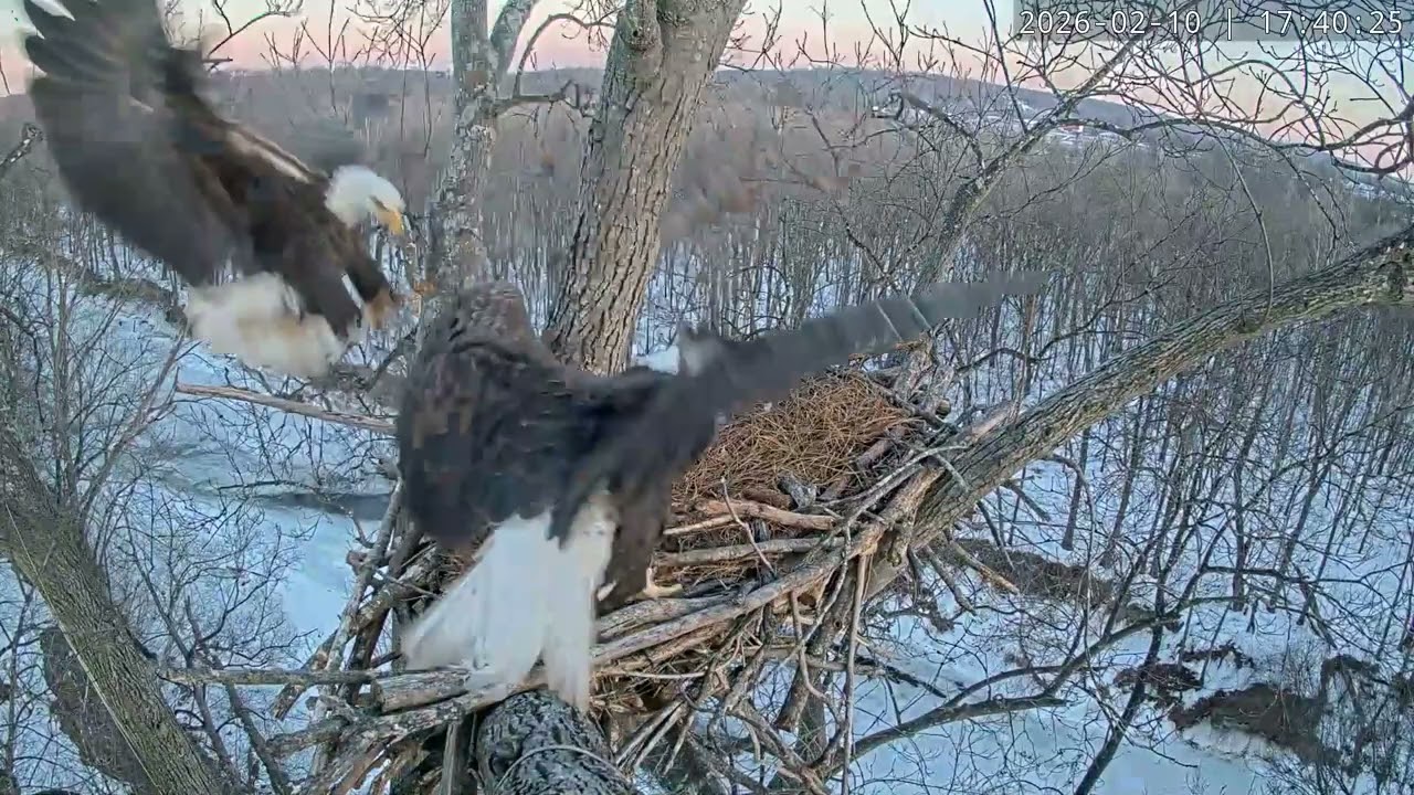 Oh, we know them! No introduction needed.
