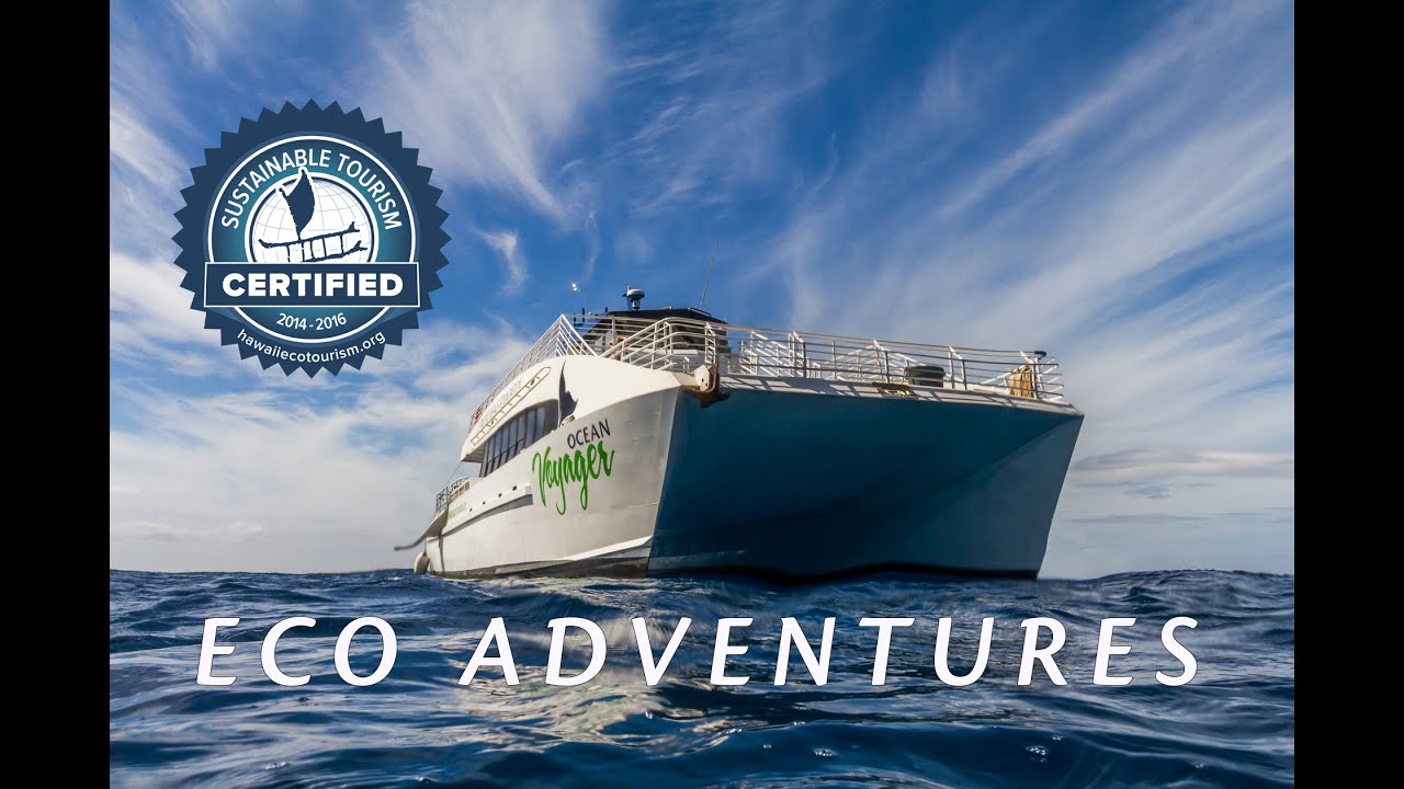 Pacific Whale Foundation - ECO Tours