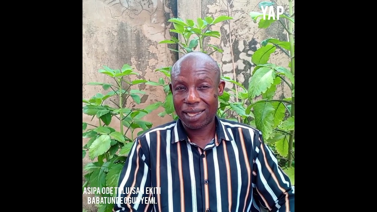 Gongo so nínú igbó lojo ti Òjòlá we momi lara_Ogboju odẹ salaye iriri won.