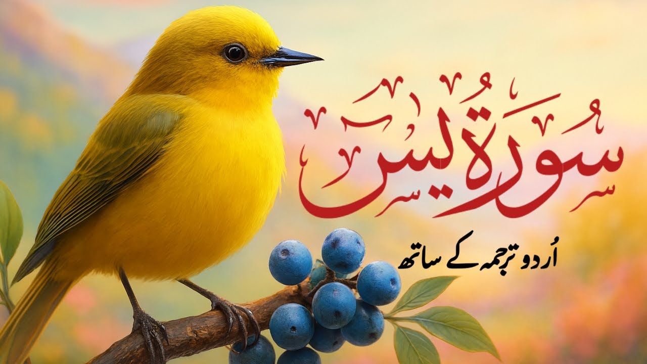 Surah Yaseen | Surah Yaseen With Urdu Translation | Episode - 77| Qari Athar Sahib