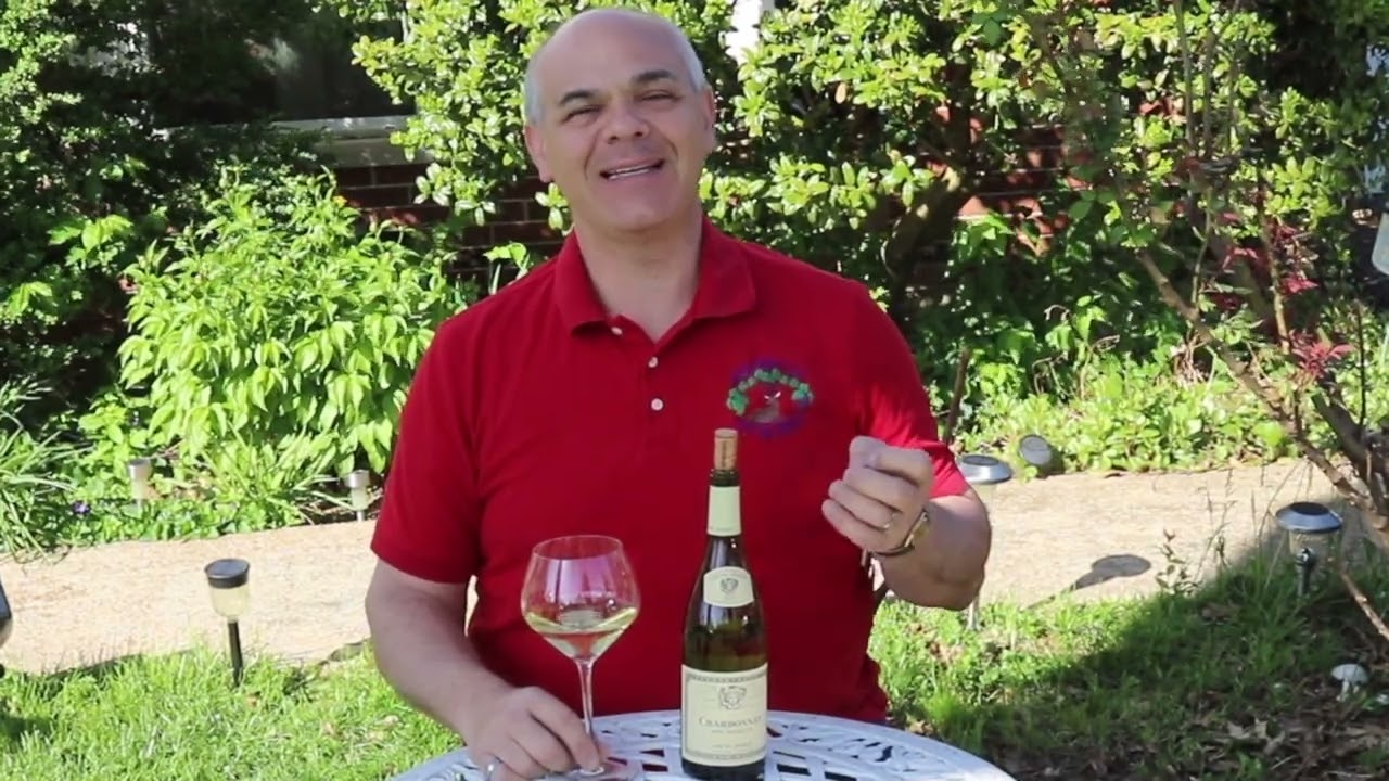 Louis Jadot Bourgogne Chardonnay 2021, Wild Wine Life