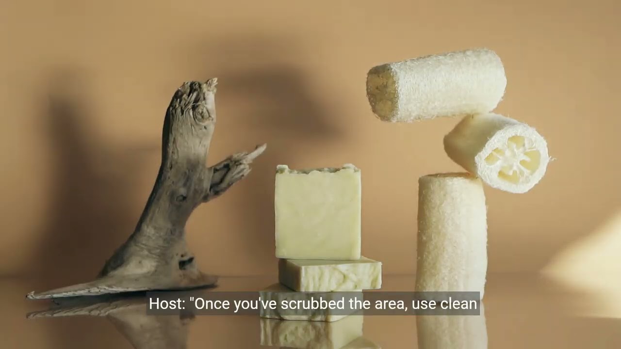 How to Remove Dead Animal Odor?