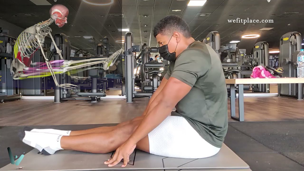 Elecaviones de Piernas Sentado👀 - Análisis Biomecánico EN 1 MINUTO 📍