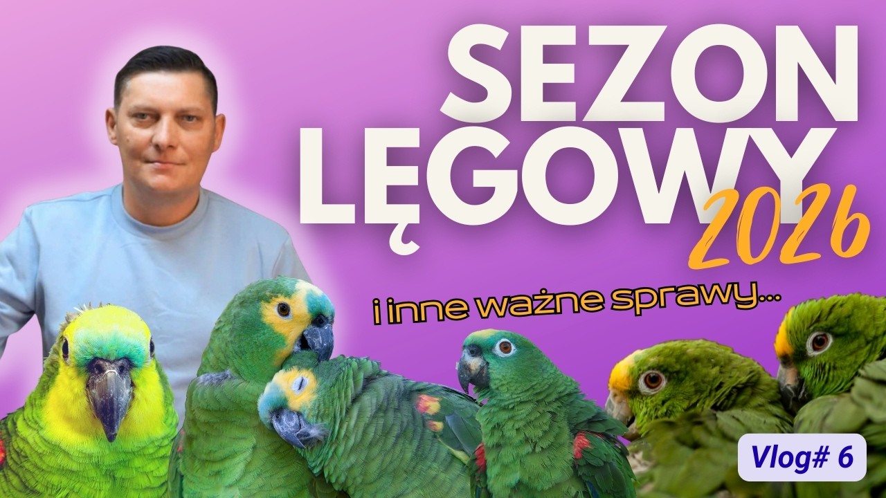 Sezon lęgowy 2026r.   vlog#6 Papugi Moja Pasja