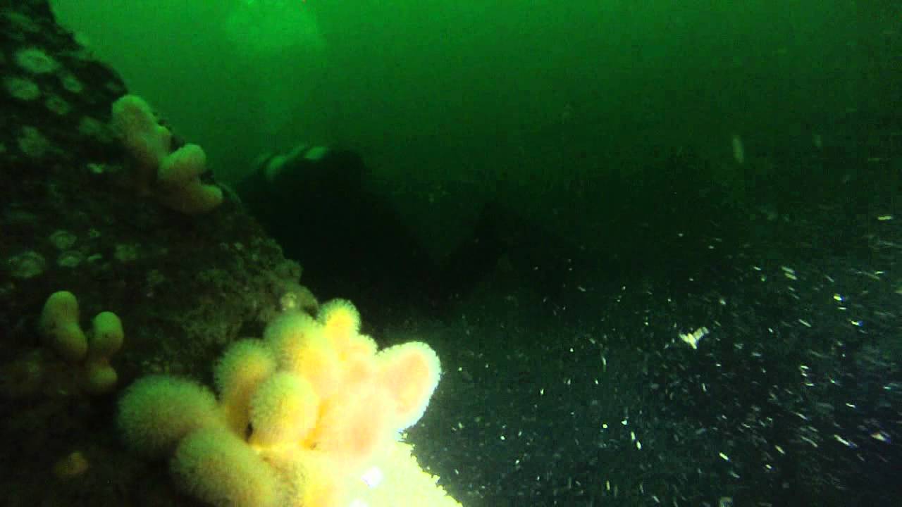 Unknown wreck