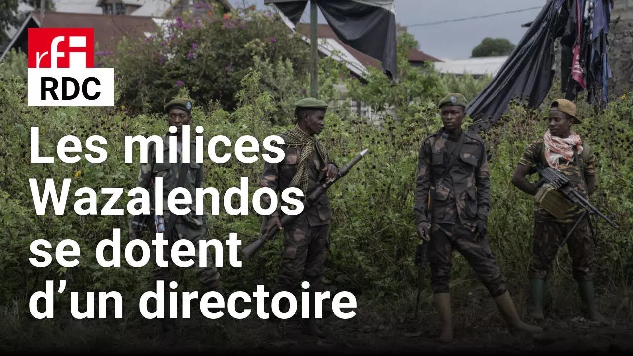 RDC: les milices Wazalendos se dotent d&rsquo;un directoire pour organiser la riposte &agrave; l&rsquo;Est &bull; RFI