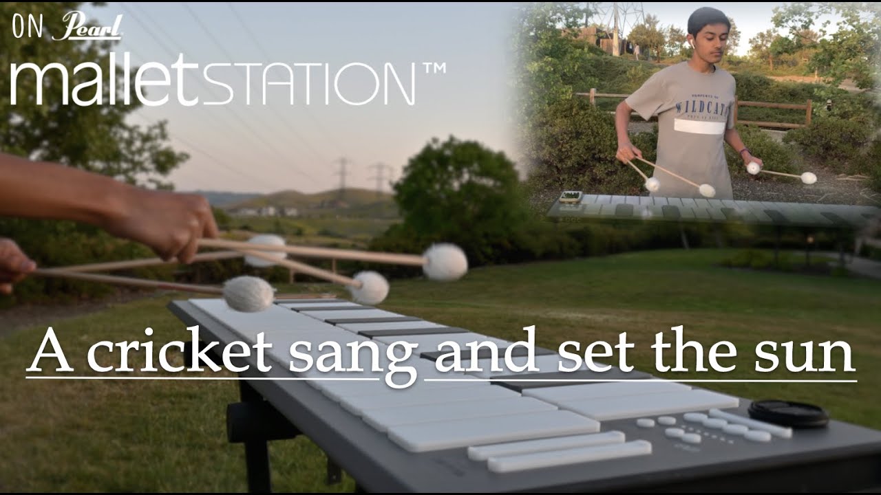 Blake Tyson - A cricket sang and set the sun (on Pearl malletSTATION)