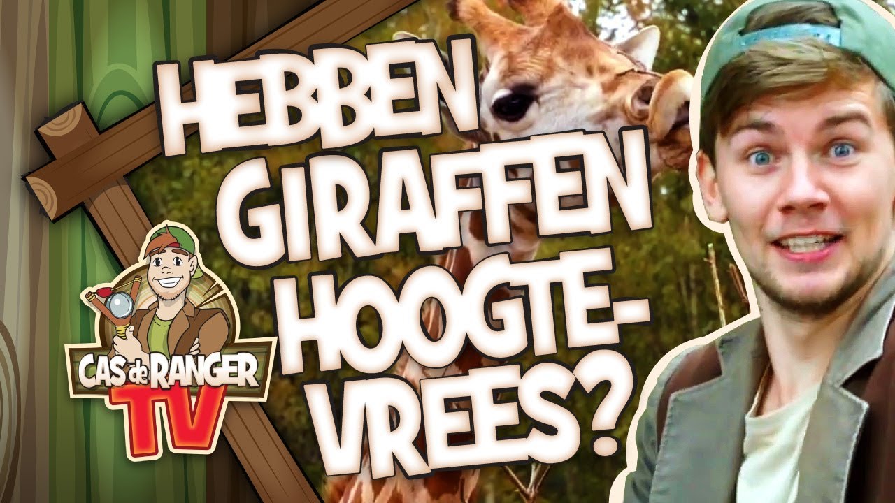HEBBEN GIRAFFEN HOOGTEVREES? Cas de ranger TV #37 - Julianatoren