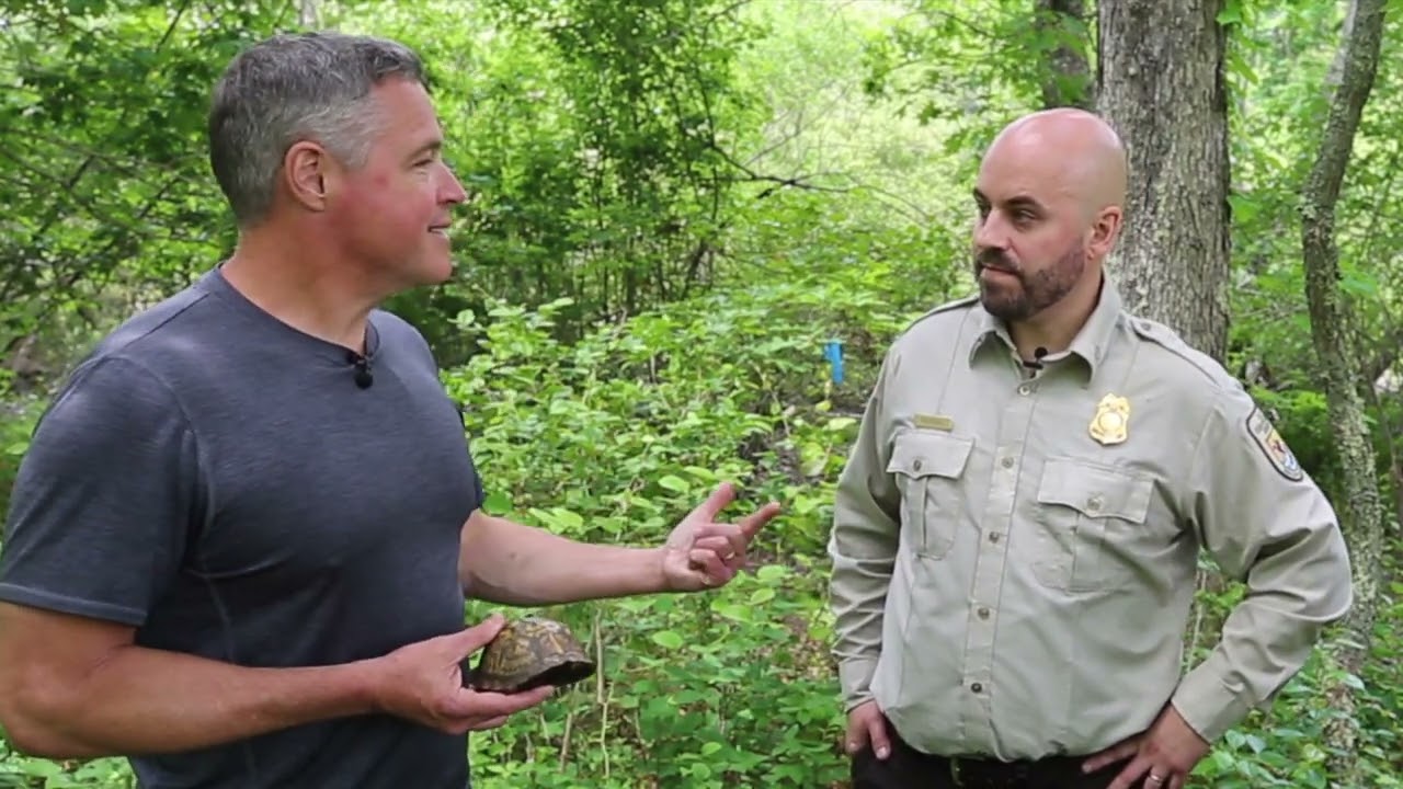 Service, Jeff Corwin team up to keep turtles safe from illegal trade