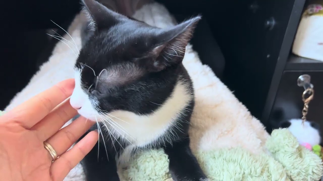 ❤️