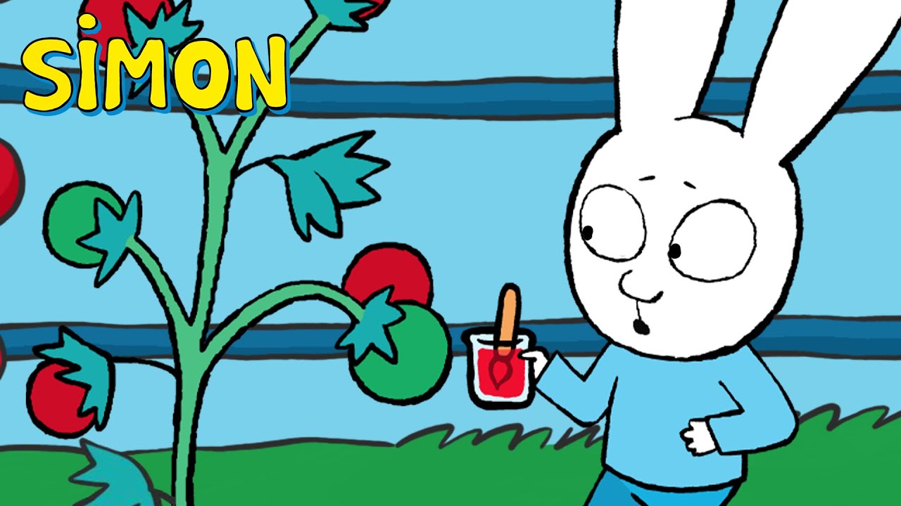 Het geheim van de tomatenkabouter 🍅🤫 | Vlaamse Simon | 30m | S1 | Cartoon voor kinderen