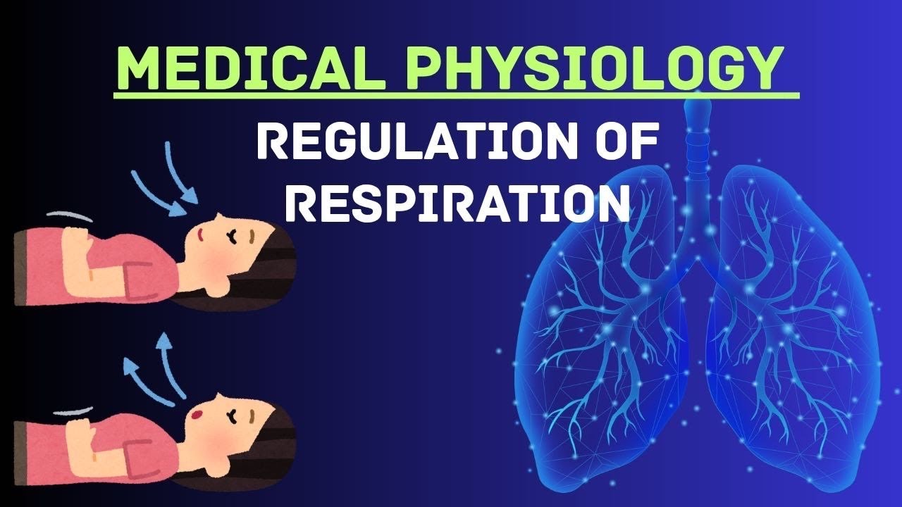 Guyton and Hall Physiology | Chapter 42 | Regulation of Respiration