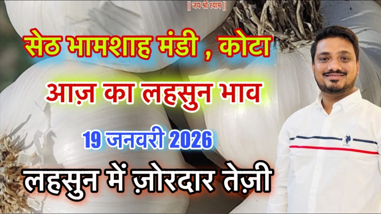 आज़ 19 जनवरी 2026 का ताज़ा लहसुन भाव । 19 Jan 26 का कोटा मंडी का लहसुन भाव । सेठ भामाशाह मंडी भाव