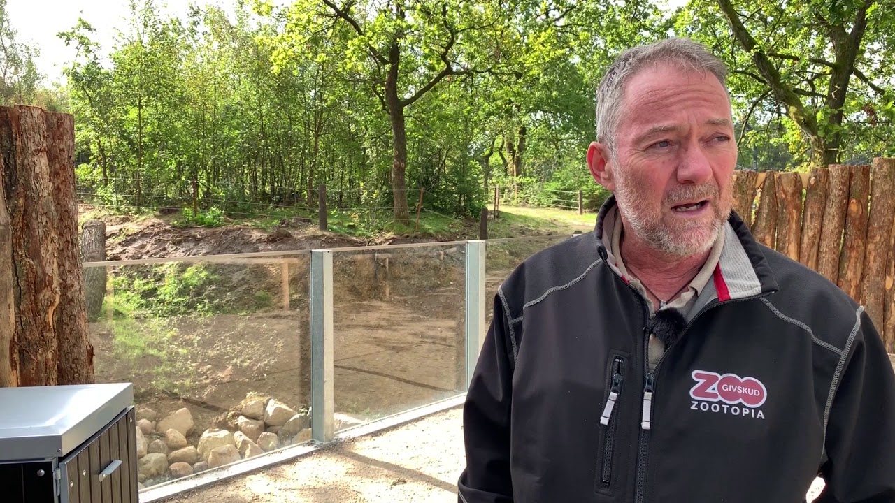 Brillebjørne i Givskud Zoo