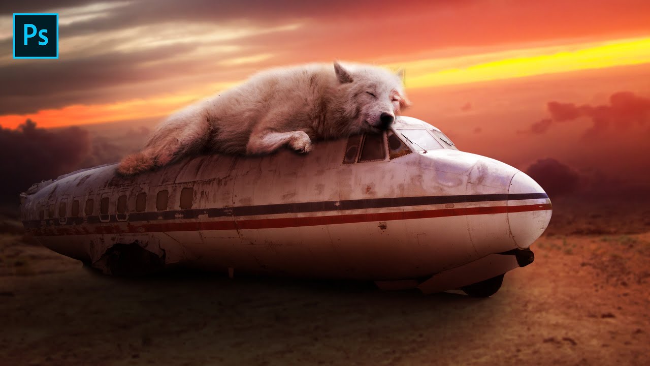 Relaxed Wolf | Photoshop Photo Manipulation Tutorial in Hindi