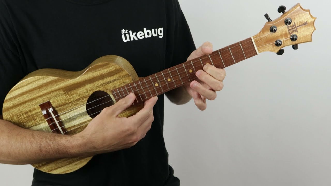 KoAloha KTO-10 Opio Acacia Low-G Tenor Ukulele w/bag (1) | The Ukebug