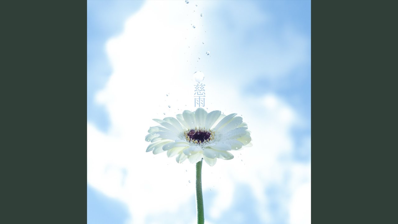 慈雨