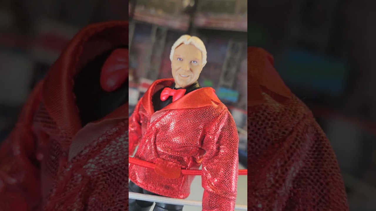 Bobby The Brain Heenan  