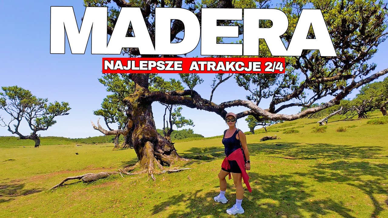 Co warto zobaczyć na Maderze? TOP miejsca w 1 dzień – Fanal, Achadas da Cruz, Ponta do Sol - 2/4