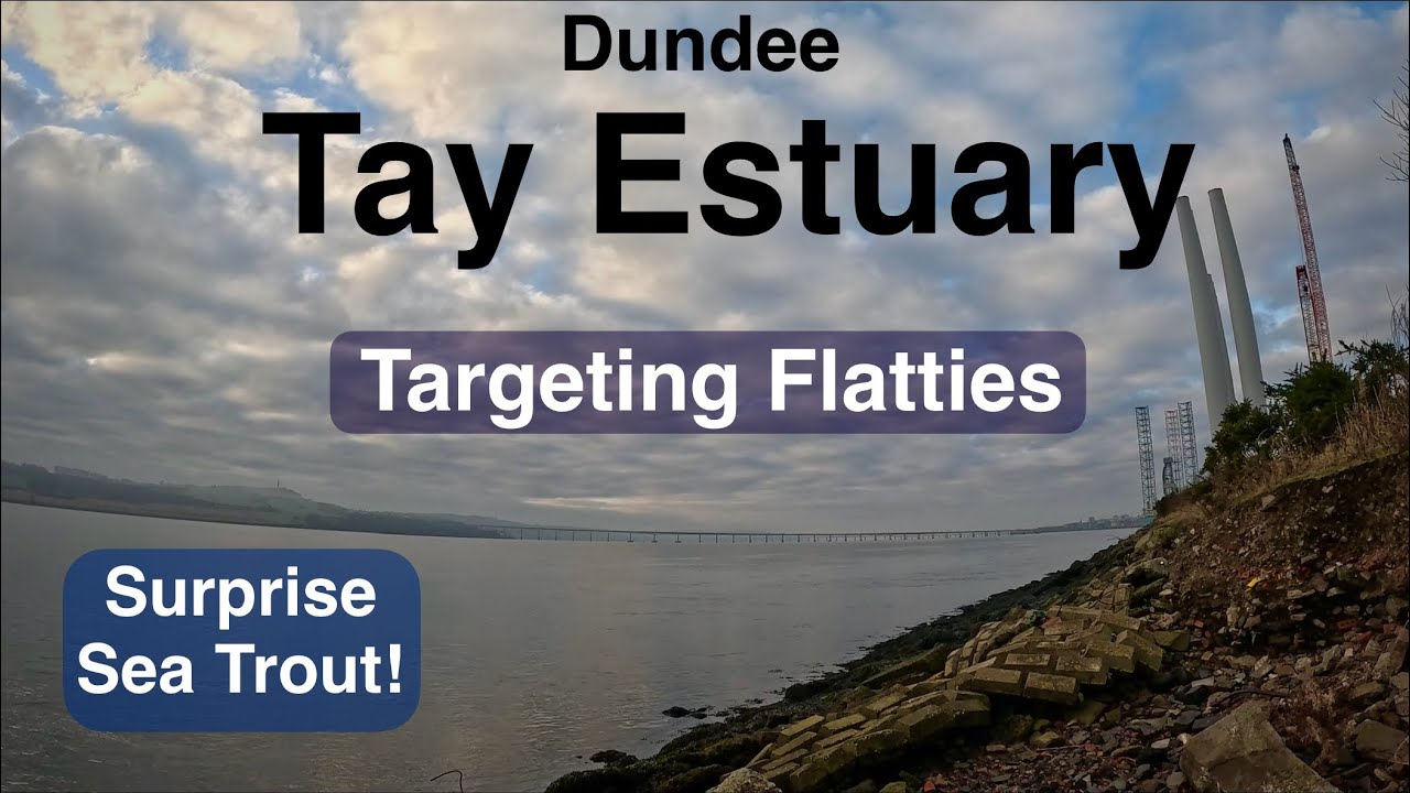 Sea Fishing Scotland - Tay Estuary - Dab and Sea Trout - Plus highlights from Previous trip
