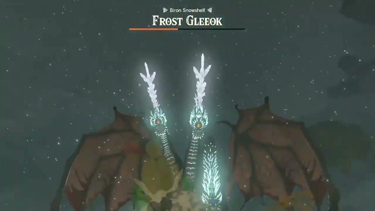 TOTK Biron Snowshelf Frost Gleeok No Bow