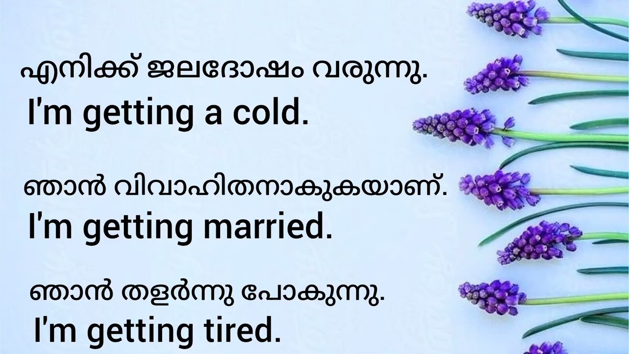 I AM- Daily use spoken english sentences with malayalam#learnspokenenglishinmalayalam #spokenenglish