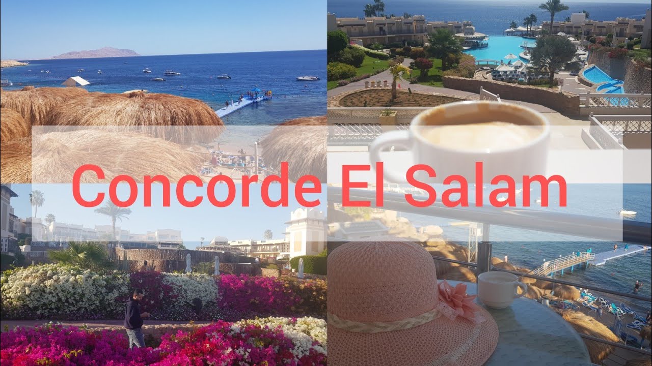 Обзор отеля и пляжа Concorde el Salam Sharm El- Sheikh. Египет 2026 г.